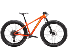 MTB-Fatbike