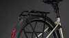 Cube Supreme RT Hybrid Comfort EXC 600 champagne'n'grey Größe: Easy Entry 42 cm