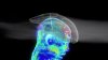 Trek Helmet Trek Ballista Mips Small Lav Haze Pink Pear