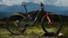 Trek FUEL+ EX 9.8 EA90 EU M Lichen Green/Keswick Green