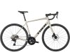 Trek Domane AL 4 54 Gloss Supernova
