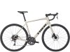 Trek Domane AL 2 58 Gloss Supernova