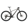 Scott Scale RC Expert - tungsten grey/carbon black - L