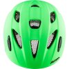 ALPINA Sports XIMO LE green matt 47-51