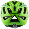 ALPINA Sports PANOMA 2.0 green-blue gloss 56-59