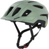 ALPINA Sports PARANUS MIPS willow-green matt 55-59