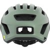ALPINA Sports PARANUS MIPS willow-green matt 55-59