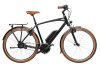 Riese & Müller Cruiser Vario Black